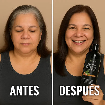 Champú Unissex 3x1 AntiCanas - Luce 10 Años Más Joven